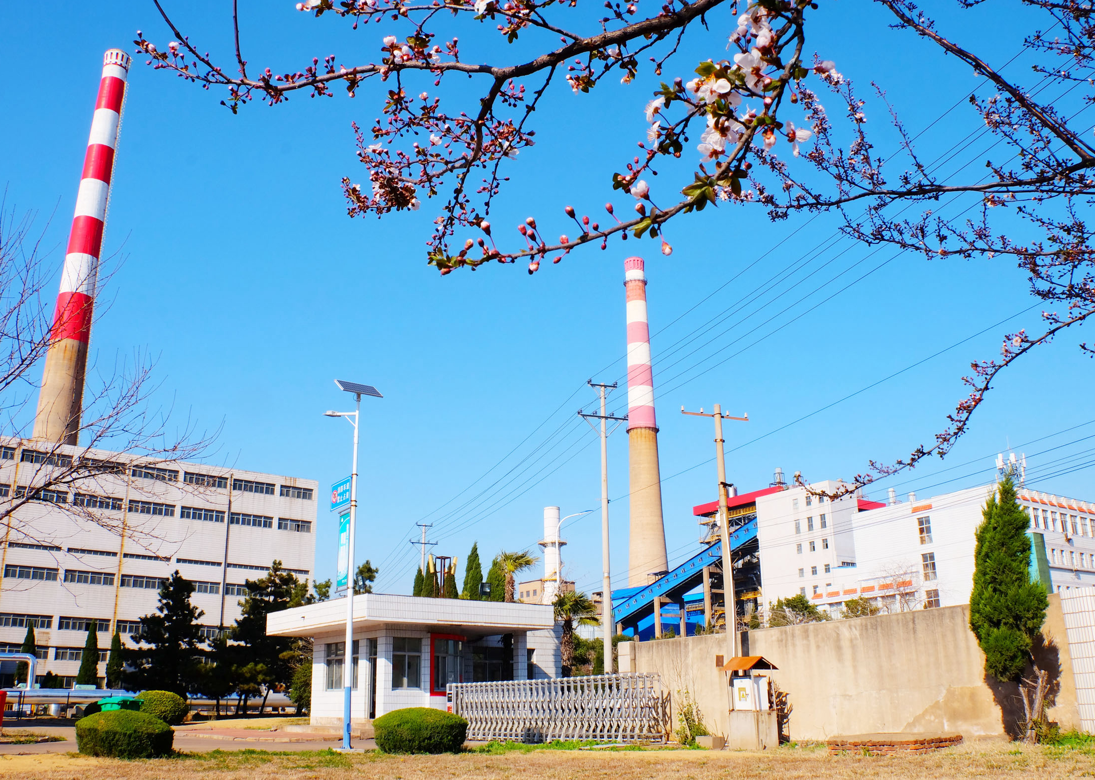 恒通化工公司熱電廠一角